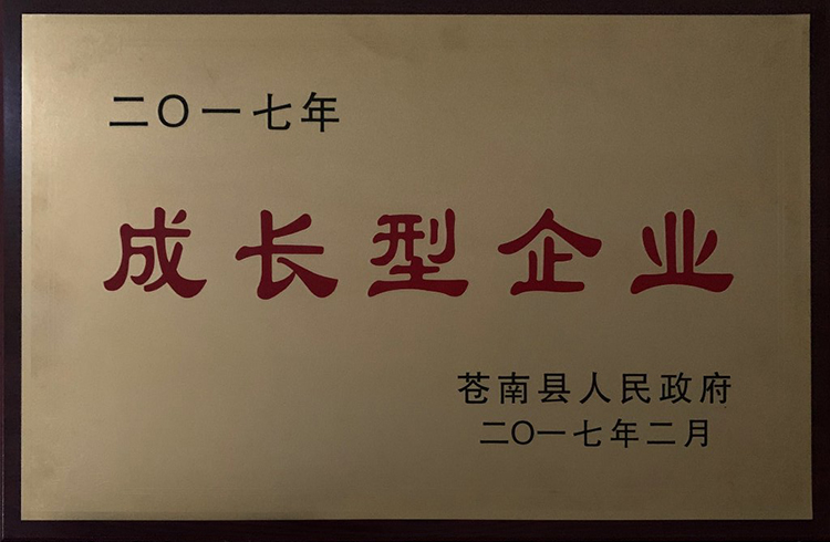2017成長(zhǎng)型企業(yè).jpg